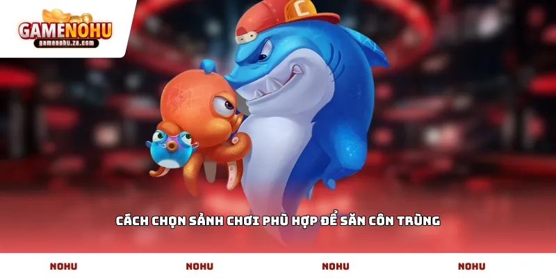 Cách chọn sảnh chơi phù hợp để săn côn trùng